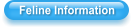 Feline Information